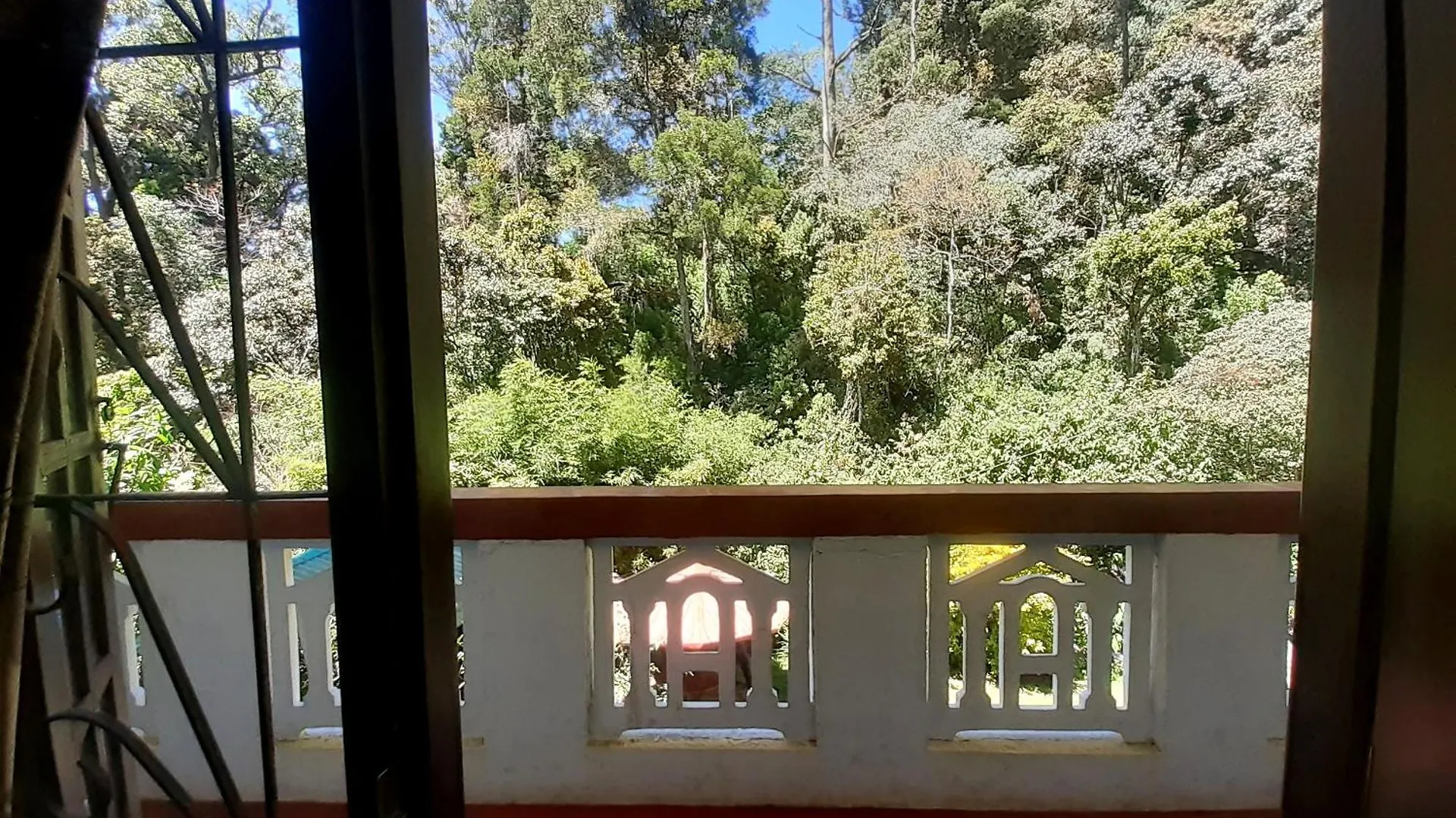 Forest View Rest Nuwaraeliya Nuwara Eliya Sri Lanka